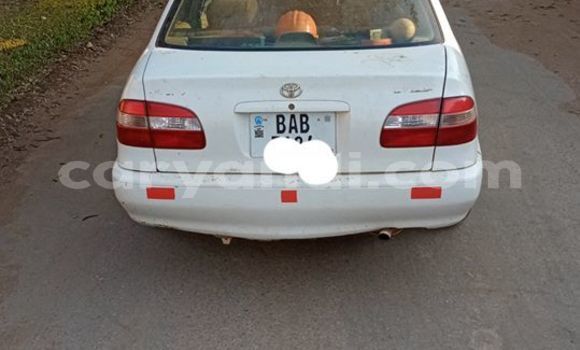Buy Used Toyota Corolla White Car in Lusaka in Zambia Buy Used Toyota Corolla White Car in Lusaka in Zambia