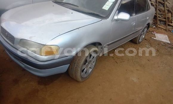 Buy Used Toyota Corolla Silver Car in Lusaka in Zambia Buy Used Toyota Corolla Silver Car in Lusaka in Zambia