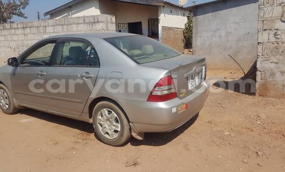 Buy Used Toyota Corolla Silver Car in Lusaka in Zambia Buy Used Toyota Corolla Silver Car in Lusaka in Zambia
