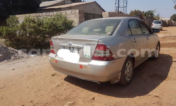 Buy Used Toyota Corolla Silver Car in Lusaka in Zambia Buy Used Toyota Corolla Silver Car in Lusaka in Zambia