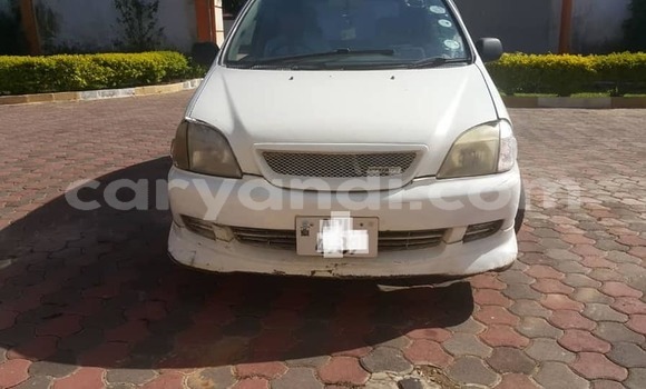 Tenga Tsaru Toyota Nadia Chena Mota in Lusaka in Zambia Tenga Tsaru Toyota Nadia Chena Mota in Lusaka in Zambia