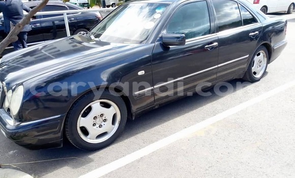 Tenga Tsaru Mercedes‒Benz E–Class Nhema Mota in Lusaka in Zambia Tenga Tsaru Mercedes‒Benz E–Class Nhema Mota in Lusaka in Zambia