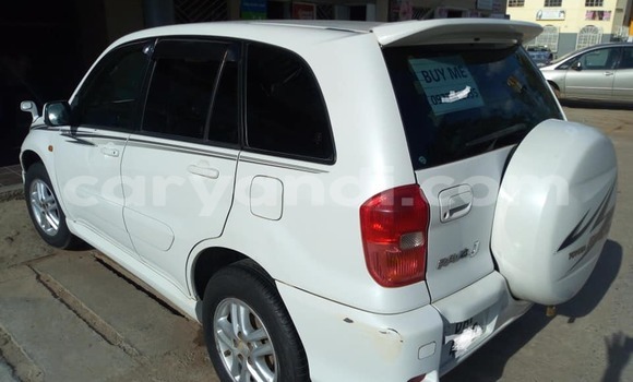 Tenga Tsaru Toyota RAV4 Chena Mota in Lusaka in Zambia Tenga Tsaru Toyota RAV4 Chena Mota in Lusaka in Zambia