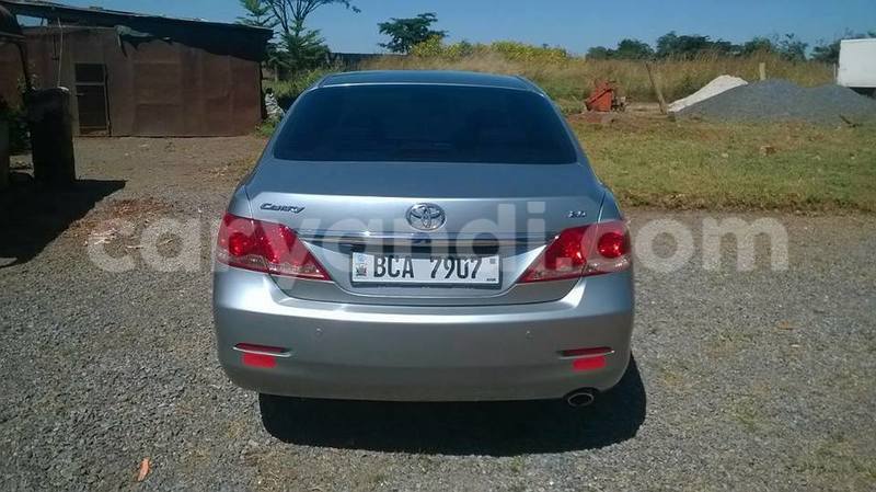 Big with watermark 18952779 709237862582138 3608237861038673941 n