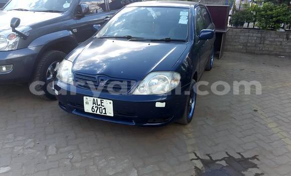 Buy Used Toyota Runx Blue Car in Lusaka in Zambia Buy Used Toyota Runx Blue Car in Lusaka in Zambia