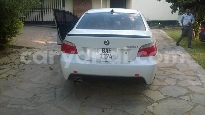 Big with watermark 18952779 709237862582138 3608237861038673941 n