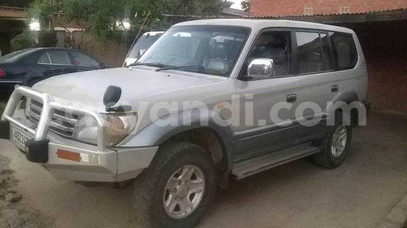 Big with watermark 18952779 709237862582138 3608237861038673941 n