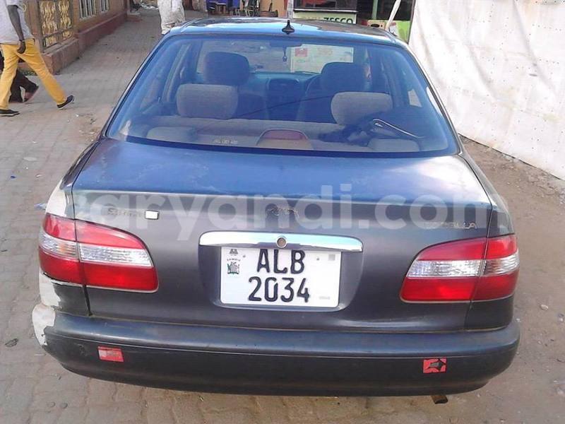 Big with watermark 18952779 709237862582138 3608237861038673941 n