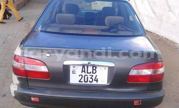 Nunua Ilio tumika Toyota Corolla Nyingine Gari ndani ya Lusaka nchini Zambia Nunua Ilio tumika Toyota Corolla Nyingine Gari ndani ya Lusaka nchini Zambia