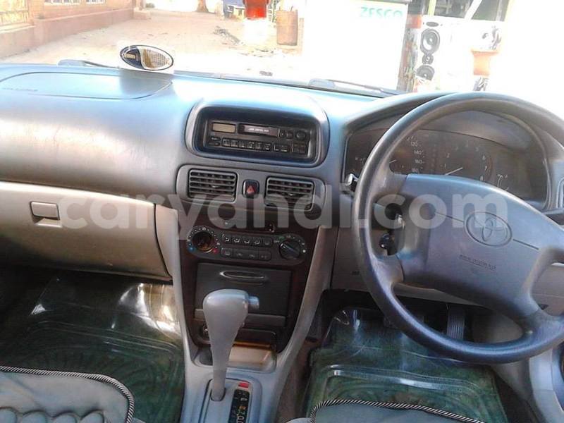 Big with watermark 19030339 709237869248804 8378660185752961642 n