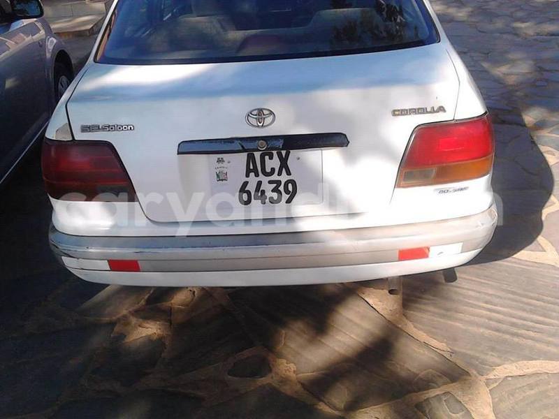 Big with watermark 19030650 709237865915471 5780759566154516871 n