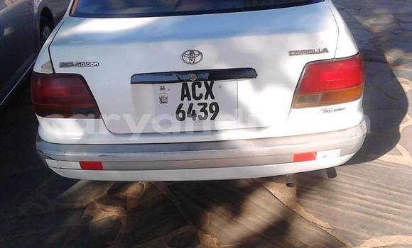 Nunua Ilio tumika Toyota Corolla Nyeupe Gari ndani ya Lusaka nchini Zambia Nunua Ilio tumika Toyota Corolla Nyeupe Gari ndani ya Lusaka nchini Zambia