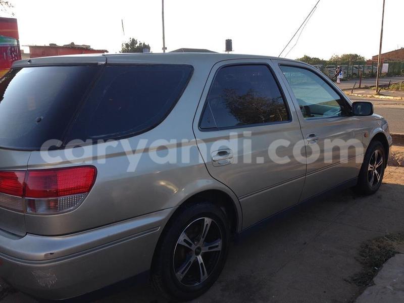 Big with watermark 18952779 709237862582138 3608237861038673941 n