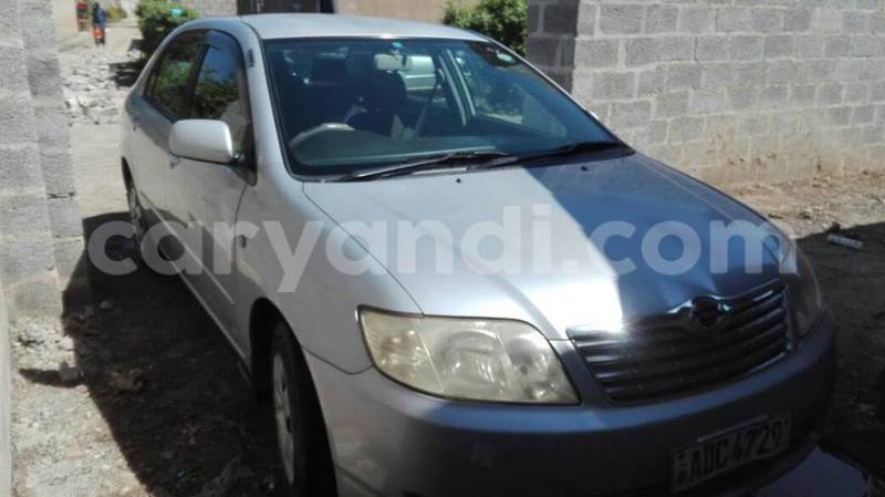 Big with watermark 18952779 709237862582138 3608237861038673941 n