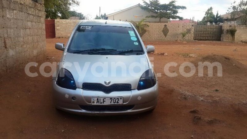 Big with watermark 18952779 709237862582138 3608237861038673941 n