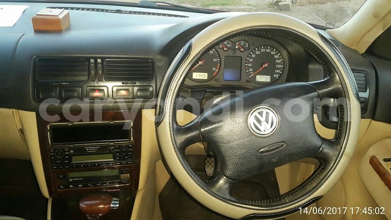 Big with watermark 19030650 709237865915471 5780759566154516871 n