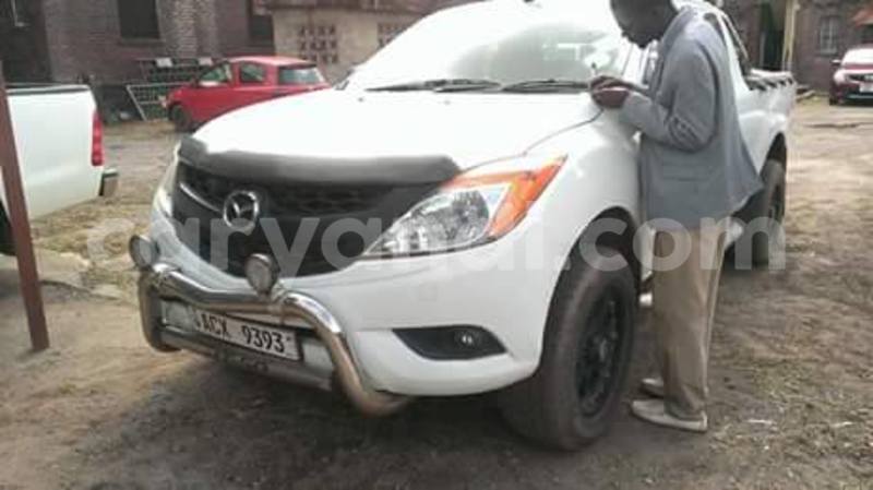 Big with watermark 19060135 594071440786994 7363552771914543692 n