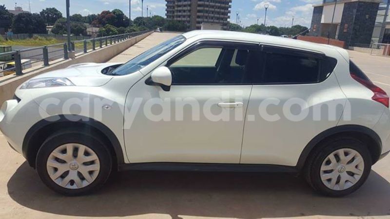 Big with watermark 19092742 10208860139452489 1447452680035931190 o