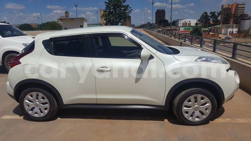 Big with watermark 19149076 594071410786997 1273501662403185781 n