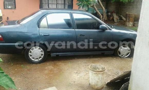 Buy Used Toyota Corolla Other Car in Lusaka in Zambia Buy Used Toyota Corolla Other Car in Lusaka in Zambia