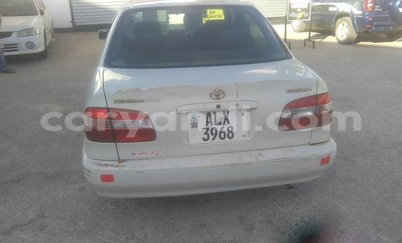 Nunua Ilio tumika Toyota Corolla Nyeupe Gari ndani ya Lusaka nchini Zambia Nunua Ilio tumika Toyota Corolla Nyeupe Gari ndani ya Lusaka nchini Zambia