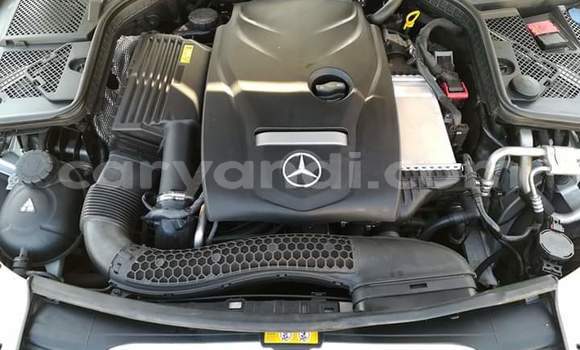 Tenga Tsaru Mercedes‒Benz C–Class Sirivha Mota in Livingstone in Zambia Tenga Tsaru Mercedes‒Benz C–Class Sirivha Mota in Livingstone in Zambia