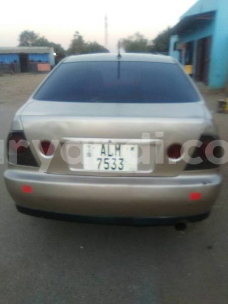 Big with watermark 19060135 594071440786994 7363552771914543692 n