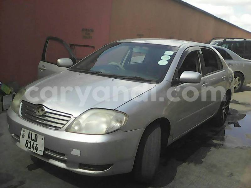 Big with watermark 19060135 594071440786994 7363552771914543692 n