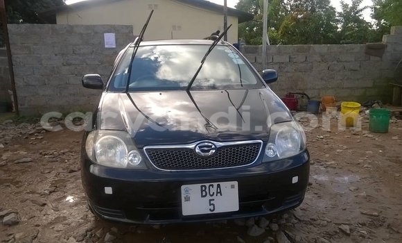 Buy Used Toyota Corolla Black Car in Ndola in Zambia Buy Used Toyota Corolla Black Car in Ndola in Zambia