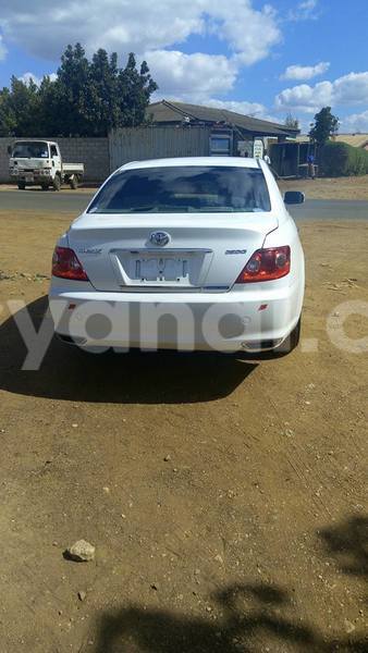 Big with watermark 18952779 709237862582138 3608237861038673941 n