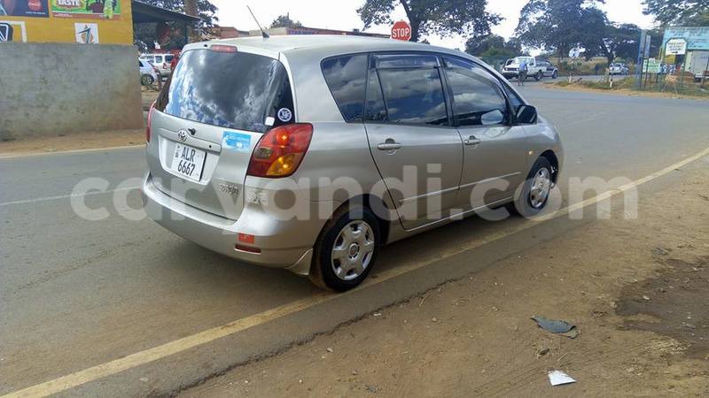 Big with watermark 19030650 709237865915471 5780759566154516871 n