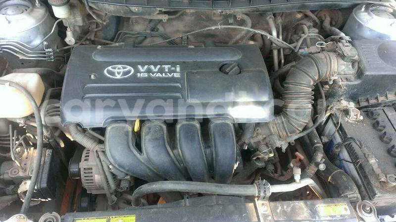 Big with watermark 19030339 709237869248804 8378660185752961642 n