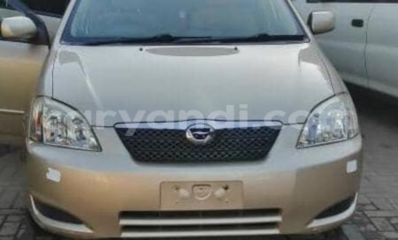 Buy Used Toyota Runx Other Car in Lusaka in Zambia Buy Used Toyota Runx Other Car in Lusaka in Zambia