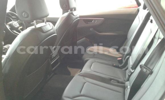 Tenga Tsaru Audi Q8 Chena Mota in Chingola in Zambia Tenga Tsaru Audi Q8 Chena Mota in Chingola in Zambia