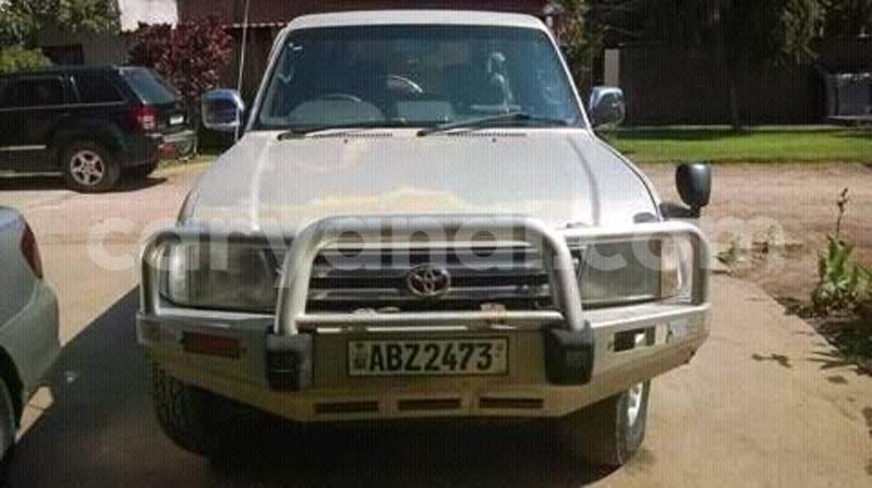 Big with watermark 18952779 709237862582138 3608237861038673941 n