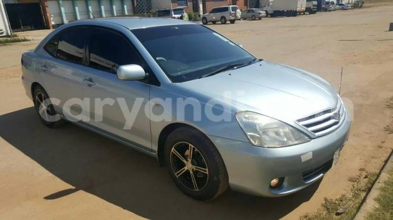 Big with watermark 18952779 709237862582138 3608237861038673941 n