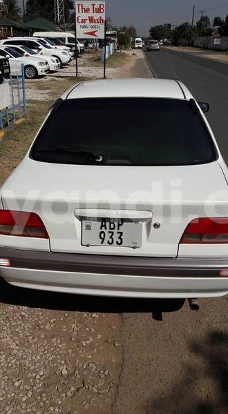 Big with watermark 18952779 709237862582138 3608237861038673941 n