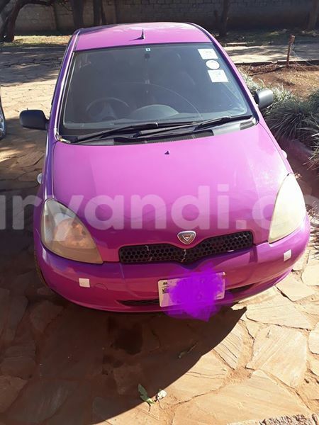 Big with watermark 18952779 709237862582138 3608237861038673941 n