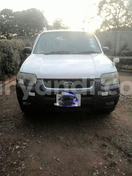 Big with watermark 18952779 709237862582138 3608237861038673941 n