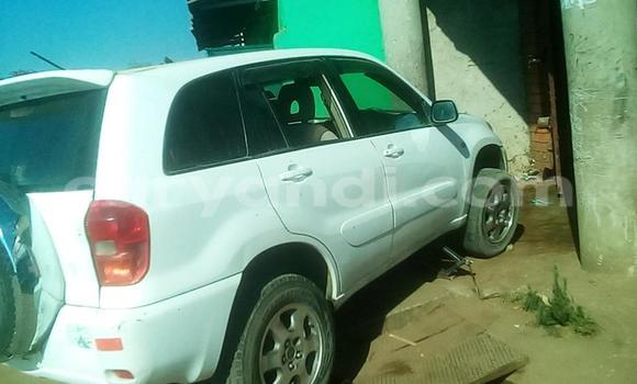 Buy Used Toyota RAV4 White Car in Lusaka in Zambia Buy Used Toyota RAV4 White Car in Lusaka in Zambia