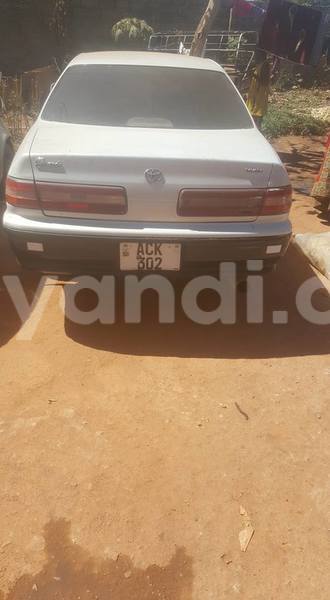 Big with watermark 20246301 486517841689715 4250919723230395693 n