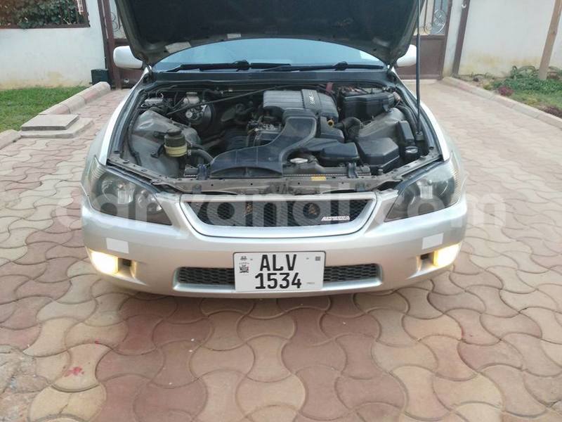 Big with watermark 20264555 486518065023026 4647407434506856133 n