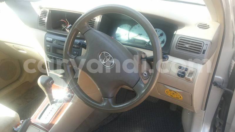 Big with watermark 20258215 486517948356371 2211171140494185906 n