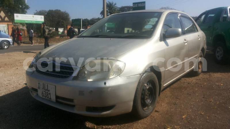 Big with watermark 20264555 486518065023026 4647407434506856133 n