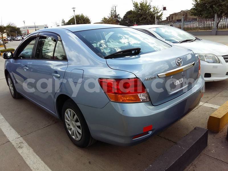 Big with watermark 20264555 486518065023026 4647407434506856133 n