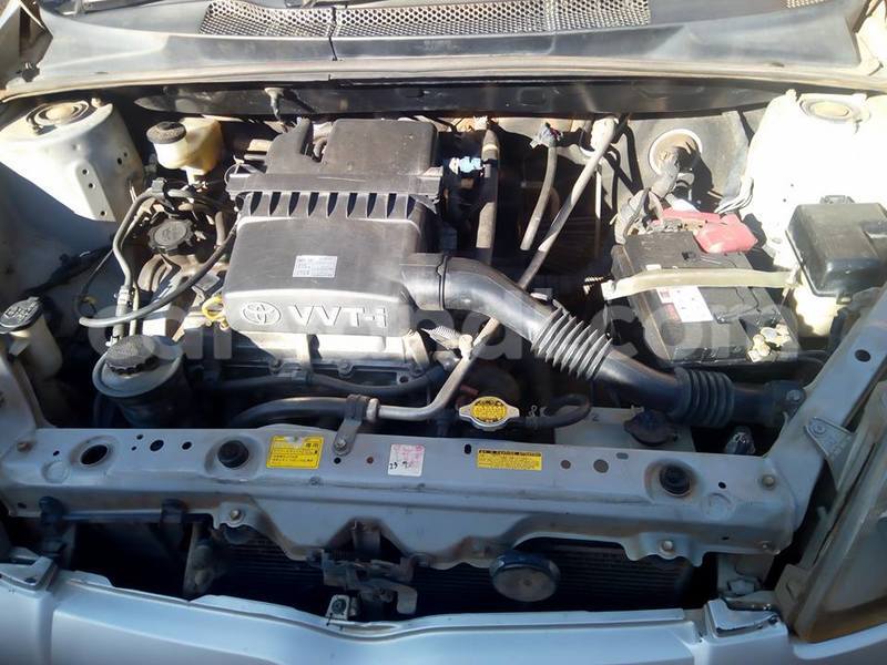 Big with watermark 20507784 10213595146891430 3142303441178211230 o