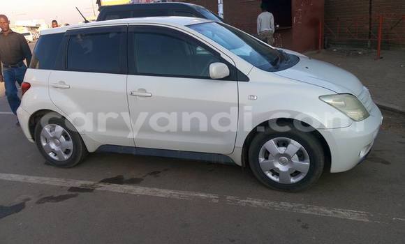 Buy Used Toyota IST White Car in Lusaka in Zambia Buy Used Toyota IST White Car in Lusaka in Zambia