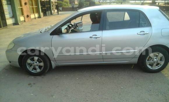 Buy Used Toyota Allex Silver Car in Lusaka in Zambia Buy Used Toyota Allex Silver Car in Lusaka in Zambia