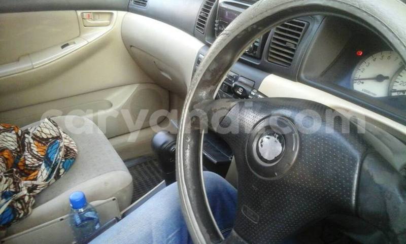 Big with watermark 20507784 10213595146891430 3142303441178211230 o