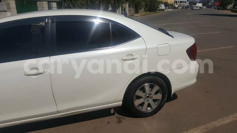 Big with watermark 20638471 2013656872214581 5266069289755941530 n